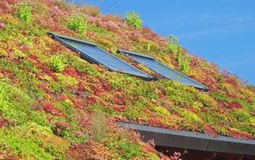 Hibbs Green living roof systems